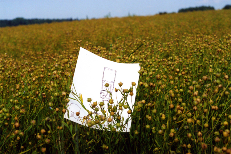 Image showing a field of yellow and green flax plants as far as the eye can see. There is blue sky above and the horizon goes on a slant from left to right. In the foreground is a drawing of the back of a CCTV camera. It rests in the flax. 