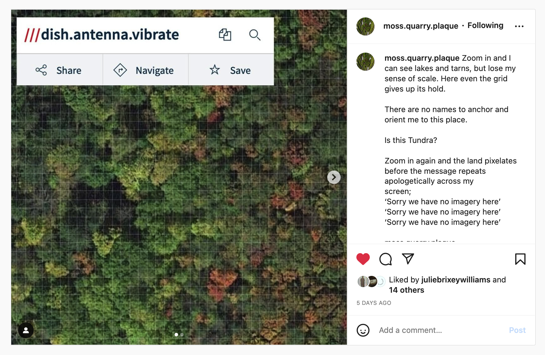 A screen shot of an instagram post showing and aerial photograph of tree tops and the words "dish.antenna.vibrate" in left hand corner